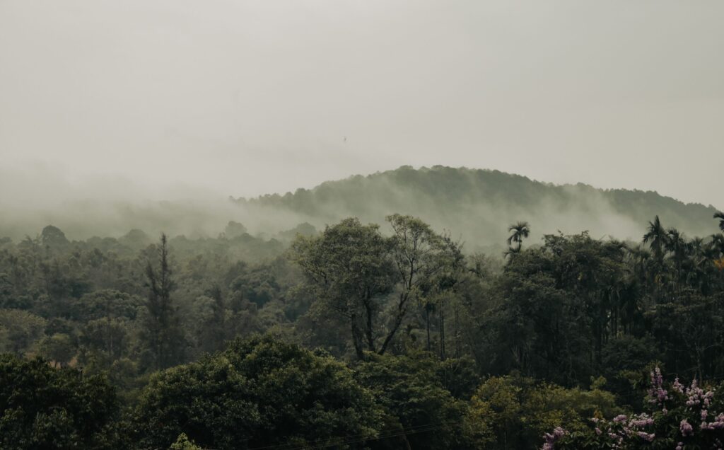 The Bio Diversity Plan: A Vital Roadmap to Preserve Life on Earth 1 Photo by Ganesh Partheeban